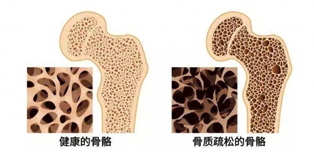ڡäĿɹСĹͷ͵͵